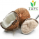 Organic Ceylon Coconut Milk Powder