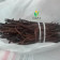 Organic Ceylon Vanilla Powder