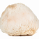 Lion’s Mane Mushroom Powder (organic)