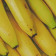 Banana Organic Premium Powder - REVdried (Beyond Freeze dried)