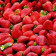 Strawberry Organic Premium Powder - REVdried (Beyond Freeze dried)