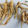 Organic Panax Ginseng Extract