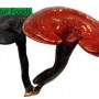 Organic Reishi Powder Mushroom Extract