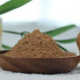 Organic Lion&#039;s mane Powder | Hericium Erinaceus Extract Powder 1:1