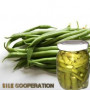 Organic Green Beans In Brine