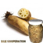 Organic Lotus Blossom Root In Brine