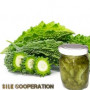 Organic Bitter Gourd In Brine