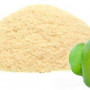 Organic Mango Powder - Premium Fruit Powder in Bulk from Ceylon