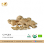 Organic Ginger Capsules in Bulk and Private Labeling