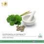 Organic Gotukola Extract Capsules in Bulk and private Labeling