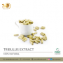 Organic Tribulus Extract Capsules in Bulk and Private Label