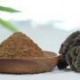 Organic Turkey tail Extract (12:1) | Coriolus Versicolor Extract