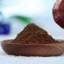 Organic Reishi Dual Extract ( 15:1) | Ganoderma Lucidum Dual Extract