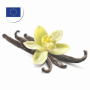 Organic Vanilla Beans Premium Quality for Europe