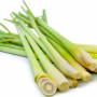 Organic Herb LEMON GRASS in Bulk from Sri Lanka