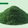 Factory Supply Food Grade Organic Spirulina Powder