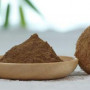 Organic Lion&#039;s mane (Hericium erinaceus) Extract 4:1