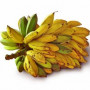Banana Powder, Organic