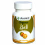 Organic Bael - Beli Capsules from Ancient Nutraceuticals in Bulk for Wholesale Price