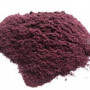 Blueberry Powder Organic and Conventional
