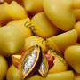 Cacao XP Raw Organic Criollo Cacao Butter Drops