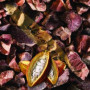 Cacao XP Raw Organic Criollo Cacao Nibs