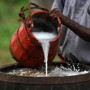 Organic Premium Kithul Sap in Bulk