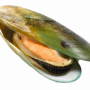 Green Lipped Mussel Powder