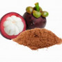 Organic Mangosteen Powder - Premium Fruit Powder in Bulk from Ceylon