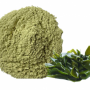 Organic kelp powder Seaweed Extract