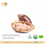 Premium Quality White Cocoa Beans from Sri Lanka