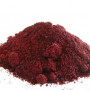 Red Raspberry Powder Organic and Conventional
