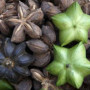 Sacha Inchi Powder, Organic