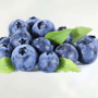 Blueberry Juice Powder Organic