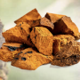 Chaga Mushroom Powder Organic