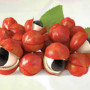 Guarana Extract Powder Organic