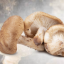Shiitake Mushroom Powder Organic