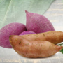 Sweet Potato Powder Organic