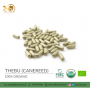 Organic Thebu and Canereed Capsules in Bulk and Private Label