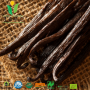 Organic Ceylon Vanilla Beans