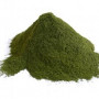 Wheat Grass Powder Organic