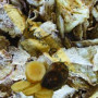 YaconPro Yacon Chips