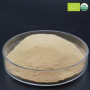 Organic Yeast Powder Organic Yeast Extract