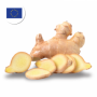 Premium quality Organic Ginger for Europe