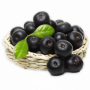 Acai Juice Powder Organic