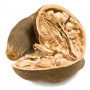 Baobab Powder, Organic