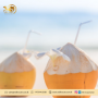 Best Quality Natural King Coconut Water in Bulk