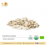 Premium Quality Pumpkin Seeds from Sri Lanka