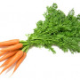 Carrot Juice Powder, Organic