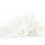 Organic Desiccated Coconut Chips